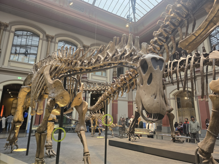 Best Things to Do in Berlin: What We’d Do Again (and What to Know Before You Go)